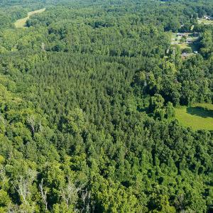 Photo #16 of SOLD property in Off Brook Cove Road, Walnut Cove, NC 42.9 acres