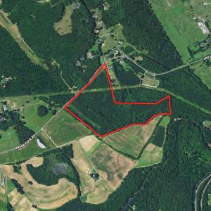 Photo #26 of SOLD property in Off Brook Cove Road, Walnut Cove, NC 42.9 acres