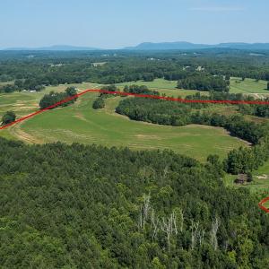 Photo #2 of SOLD property in 1581 Brook Cove Road, Walnut Cove, NC 78.4 acres