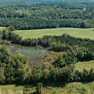 Photo #3 of SOLD property in 1581 Brook Cove Road, Walnut Cove, NC 78.4 acres