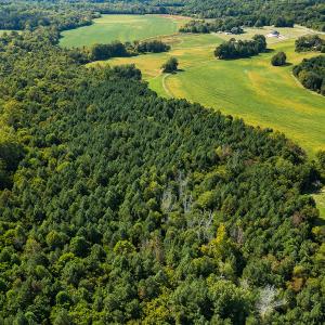 Photo #6 of SOLD property in 1581 Brook Cove Road, Walnut Cove, NC 78.4 acres