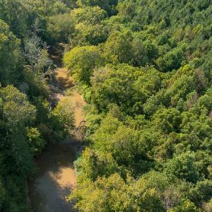 Photo #7 of SOLD property in 1581 Brook Cove Road, Walnut Cove, NC 78.4 acres