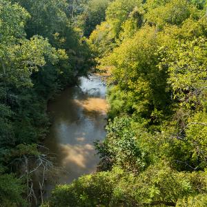 Photo #9 of SOLD property in 1581 Brook Cove Road, Walnut Cove, NC 78.4 acres