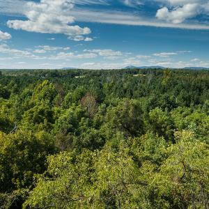 Photo #10 of SOLD property in 1581 Brook Cove Road, Walnut Cove, NC 78.4 acres