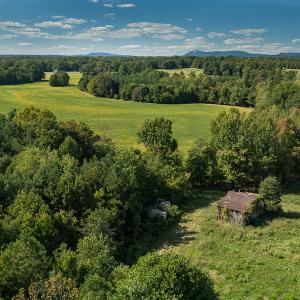 Photo #11 of SOLD property in 1581 Brook Cove Road, Walnut Cove, NC 78.4 acres