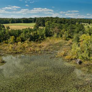 Photo #13 of SOLD property in 1581 Brook Cove Road, Walnut Cove, NC 78.4 acres