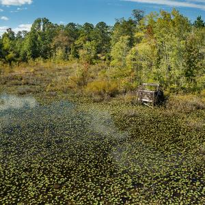 Photo #14 of SOLD property in 1581 Brook Cove Road, Walnut Cove, NC 78.4 acres