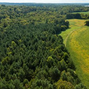 Photo #19 of SOLD property in 1581 Brook Cove Road, Walnut Cove, NC 78.4 acres