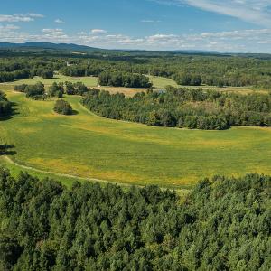 Photo #22 of SOLD property in 1581 Brook Cove Road, Walnut Cove, NC 78.4 acres