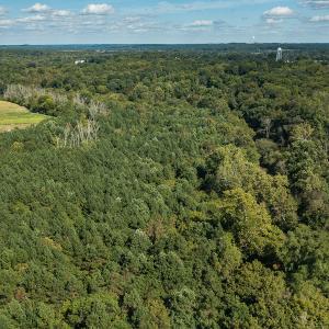 Photo #23 of SOLD property in 1581 Brook Cove Road, Walnut Cove, NC 78.4 acres