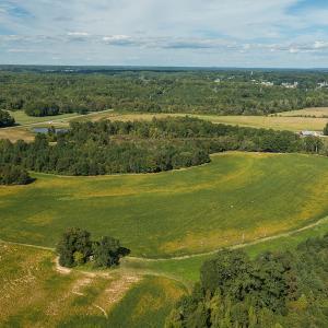 Photo #24 of SOLD property in 1581 Brook Cove Road, Walnut Cove, NC 78.4 acres
