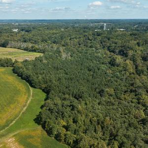 Photo #25 of SOLD property in 1581 Brook Cove Road, Walnut Cove, NC 78.4 acres