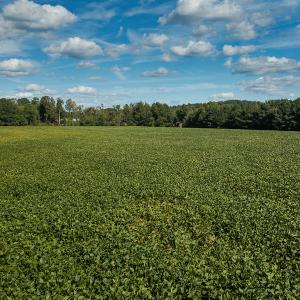 Photo #28 of SOLD property in 1581 Brook Cove Road, Walnut Cove, NC 78.4 acres