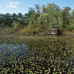 Photo #30 of SOLD property in 1581 Brook Cove Road, Walnut Cove, NC 78.4 acres
