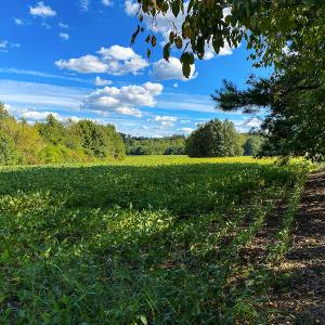 Photo #31 of SOLD property in 1581 Brook Cove Road, Walnut Cove, NC 78.4 acres