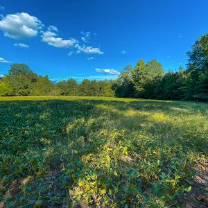 Photo #34 of SOLD property in 1581 Brook Cove Road, Walnut Cove, NC 78.4 acres