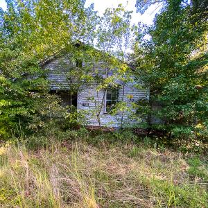 Photo #37 of SOLD property in 1581 Brook Cove Road, Walnut Cove, NC 78.4 acres