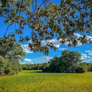Photo #38 of SOLD property in 1581 Brook Cove Road, Walnut Cove, NC 78.4 acres