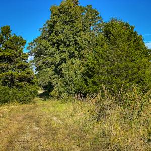 Photo #39 of SOLD property in 1581 Brook Cove Road, Walnut Cove, NC 78.4 acres