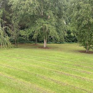 Photo #7 of SOLD property in 883 Beaverdam Road, Clarendon, NC 3.0 acres