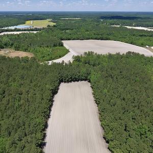 Photo #10 of SOLD property in Off Hwy 210, Garland, NC 656.0 acres
