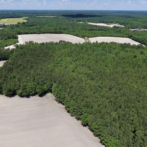 Photo #12 of SOLD property in Off Hwy 210, Garland, NC 656.0 acres