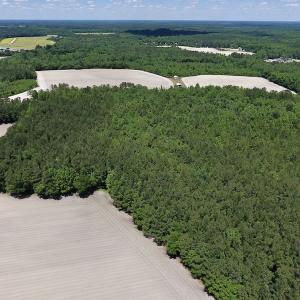 Photo #12 of SOLD property in Off Hwy 210, Garland, NC 656.0 acres