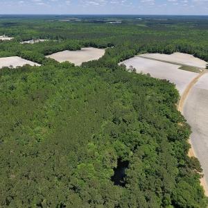 Photo #13 of SOLD property in Off Hwy 210, Garland, NC 656.0 acres