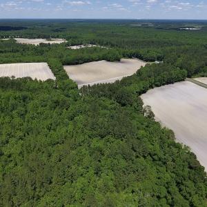 Photo #14 of SOLD property in Off Hwy 210, Garland, NC 656.0 acres