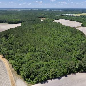Photo #15 of SOLD property in Off Hwy 210, Garland, NC 656.0 acres