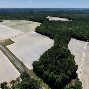Photo #3 of SOLD property in Off Hwy 210, Garland, NC 656.0 acres