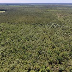 Photo #16 of SOLD property in Off Hwy 210, Garland, NC 656.0 acres