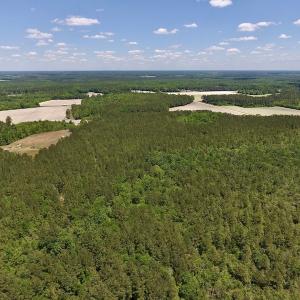 Photo #17 of SOLD property in Off Hwy 210, Garland, NC 656.0 acres
