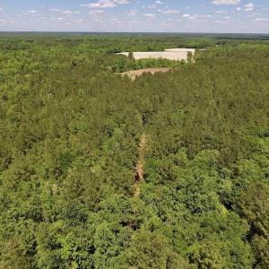 Photo #18 of SOLD property in Off Hwy 210, Garland, NC 656.0 acres
