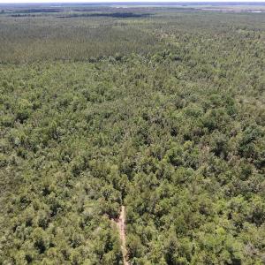 Photo #19 of SOLD property in Off Hwy 210, Garland, NC 656.0 acres