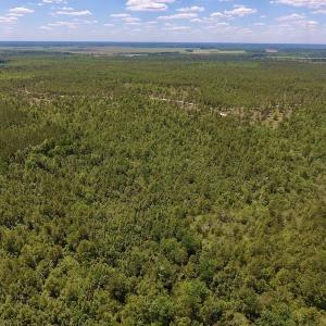 Photo #20 of SOLD property in Off Hwy 210, Garland, NC 656.0 acres