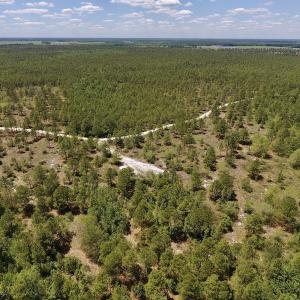 Photo #21 of SOLD property in Off Hwy 210, Garland, NC 656.0 acres