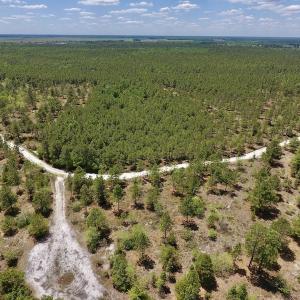 Photo #22 of SOLD property in Off Hwy 210, Garland, NC 656.0 acres
