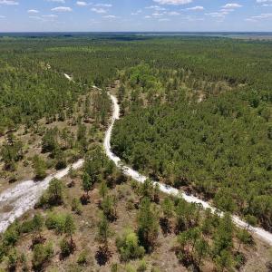 Photo #23 of SOLD property in Off Hwy 210, Garland, NC 656.0 acres