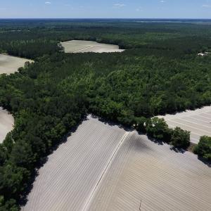 Photo #4 of SOLD property in Off Hwy 210, Garland, NC 656.0 acres