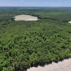 Photo #5 of SOLD property in Off Hwy 210, Garland, NC 656.0 acres