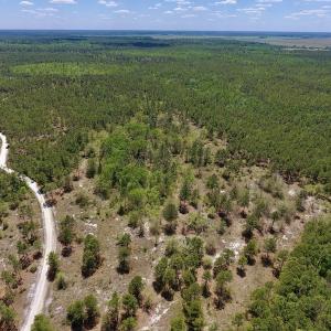 Photo #24 of SOLD property in Off Hwy 210, Garland, NC 656.0 acres