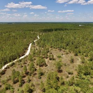 Photo #25 of SOLD property in Off Hwy 210, Garland, NC 656.0 acres