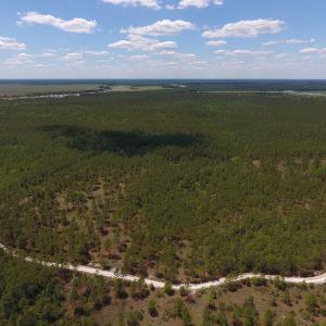 Photo #26 of SOLD property in Off Hwy 210, Garland, NC 656.0 acres