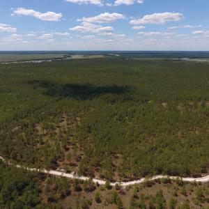 Photo #26 of SOLD property in Off Hwy 210, Garland, NC 656.0 acres