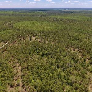 Photo #27 of SOLD property in Off Hwy 210, Garland, NC 656.0 acres