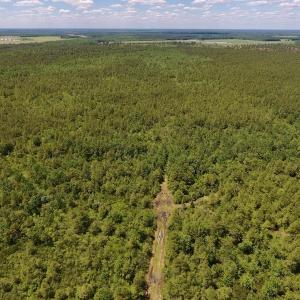Photo #28 of SOLD property in Off Hwy 210, Garland, NC 656.0 acres