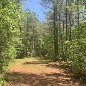 Photo #34 of SOLD property in Off Hwy 210, Garland, NC 656.0 acres