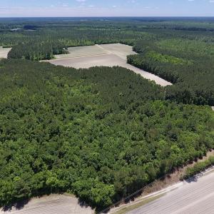Photo #7 of SOLD property in Off Hwy 210, Garland, NC 656.0 acres