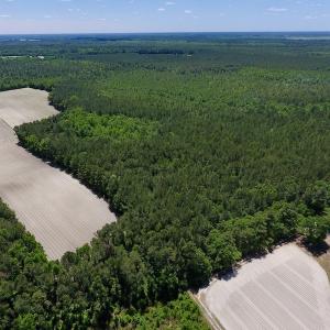 Photo #8 of SOLD property in Off Hwy 210, Garland, NC 656.0 acres